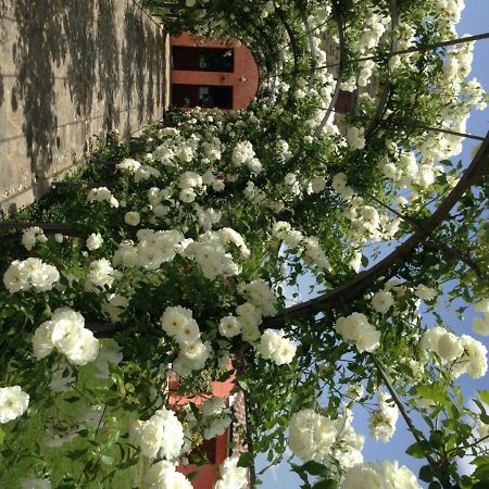 Agriturismo Casale Le Selvette Ripa Kültér fotó