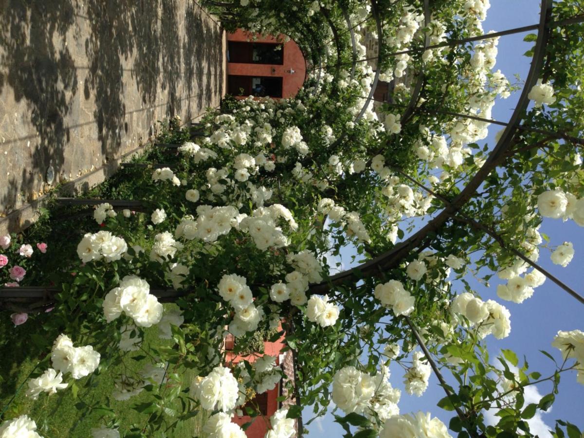 Agriturismo Casale Le Selvette Ripa Kültér fotó