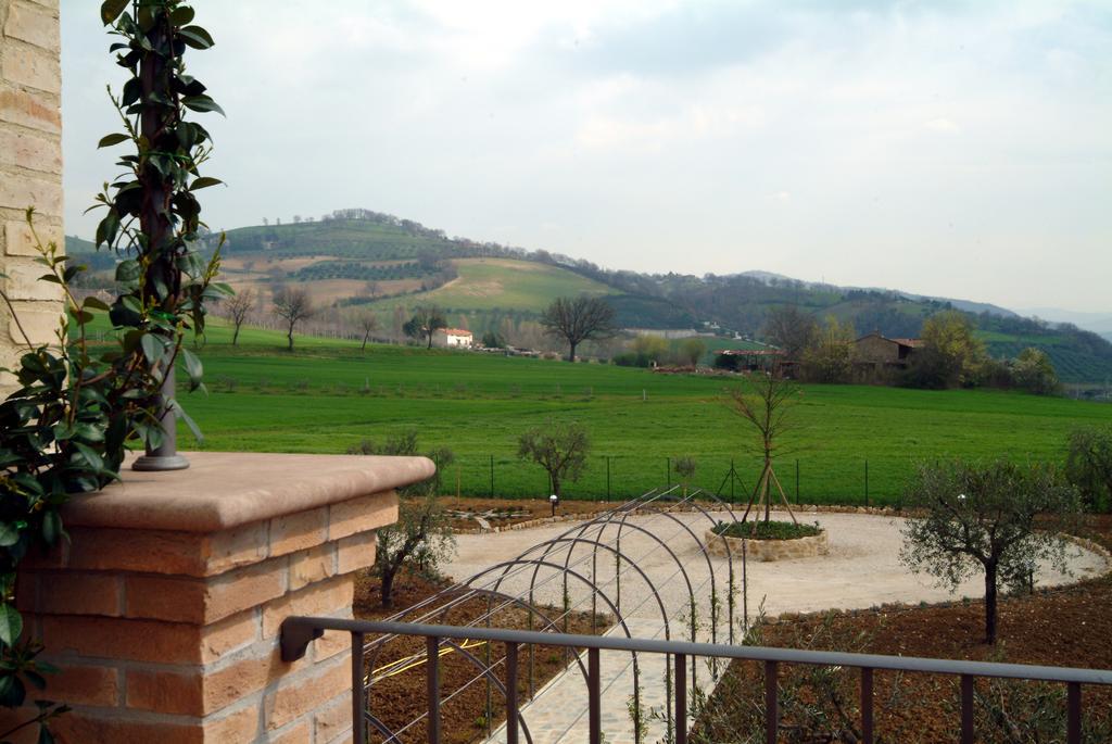 Agriturismo Casale Le Selvette Ripa Kültér fotó