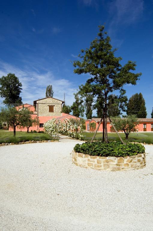 Agriturismo Casale Le Selvette Ripa Kültér fotó