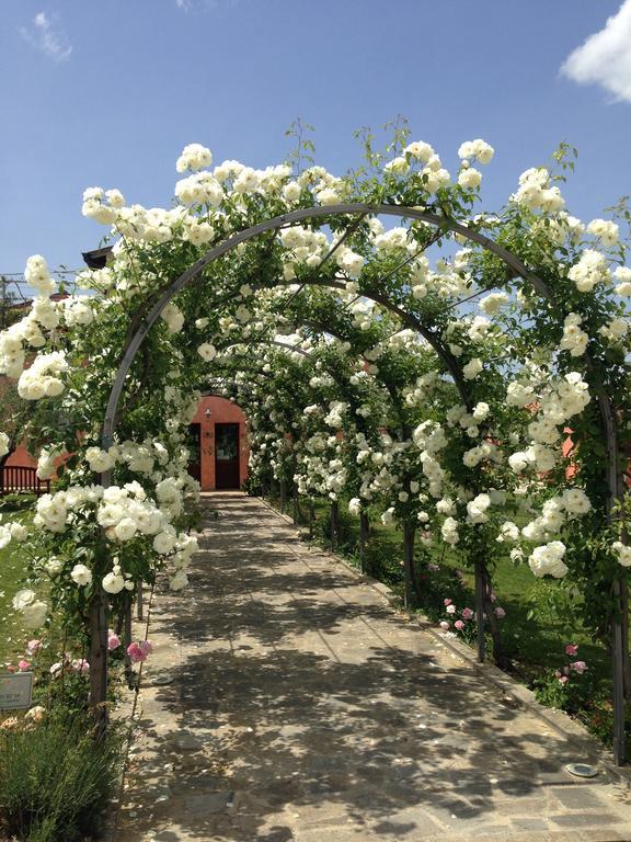 Agriturismo Casale Le Selvette Ripa Kültér fotó