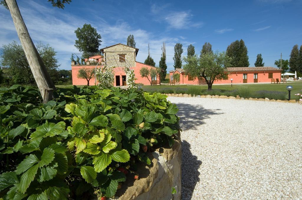 Agriturismo Casale Le Selvette Ripa Kültér fotó