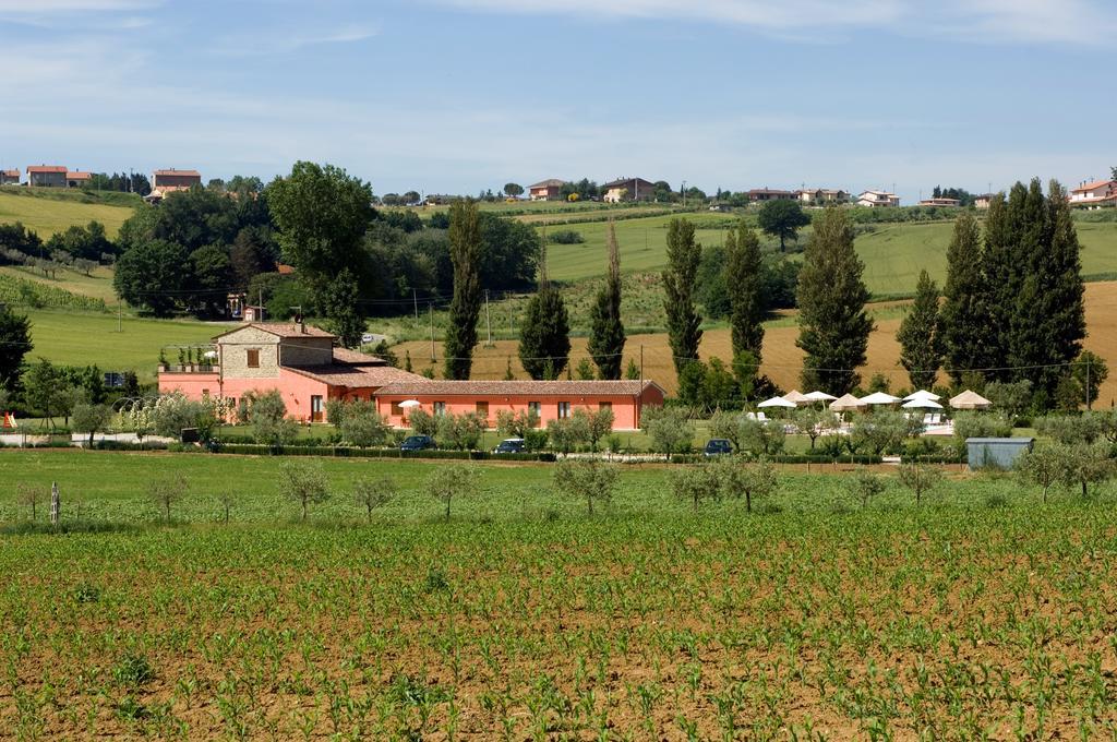 Agriturismo Casale Le Selvette Ripa Kültér fotó