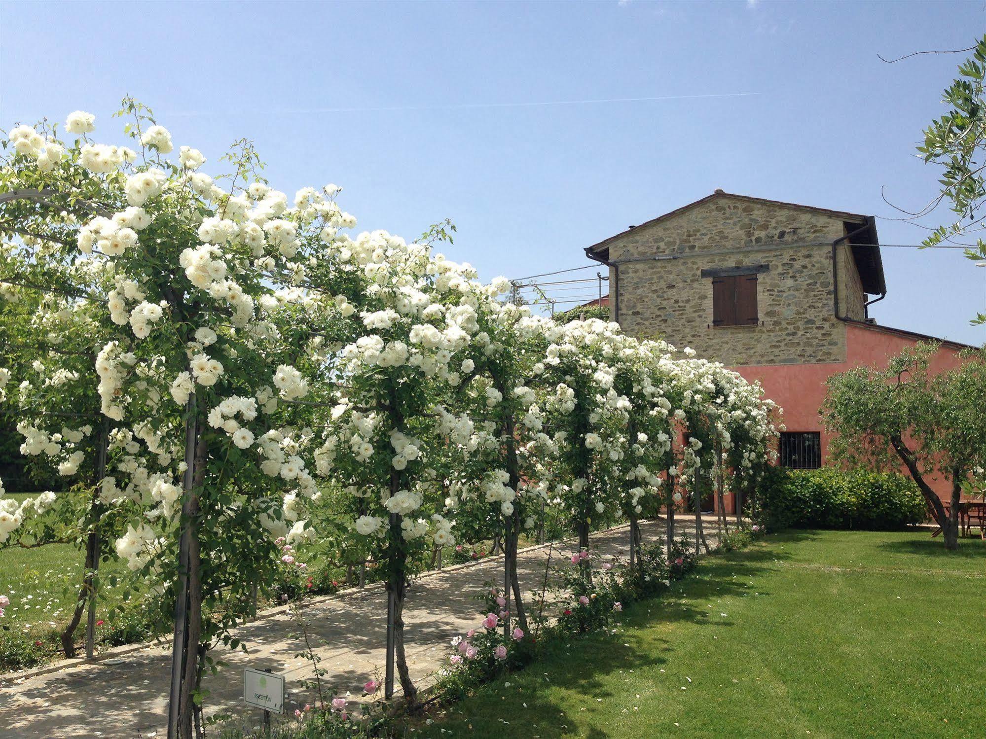 Agriturismo Casale Le Selvette Ripa Kültér fotó