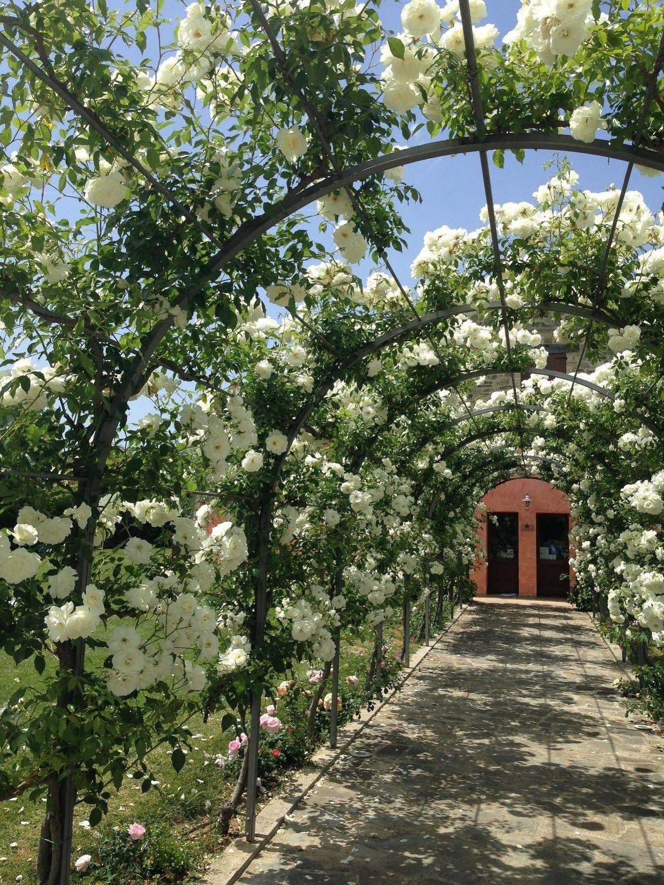 Agriturismo Casale Le Selvette Ripa Kültér fotó